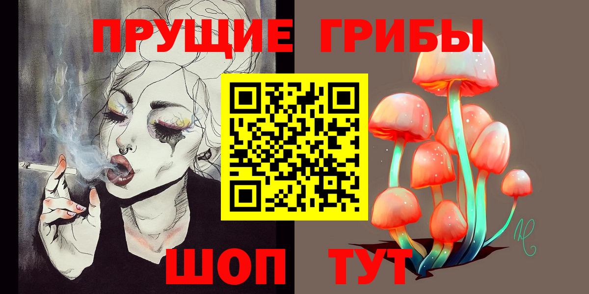 Дятьково  Галлюциногенные грибы Psilocybine cubensis  Вход с VPN 